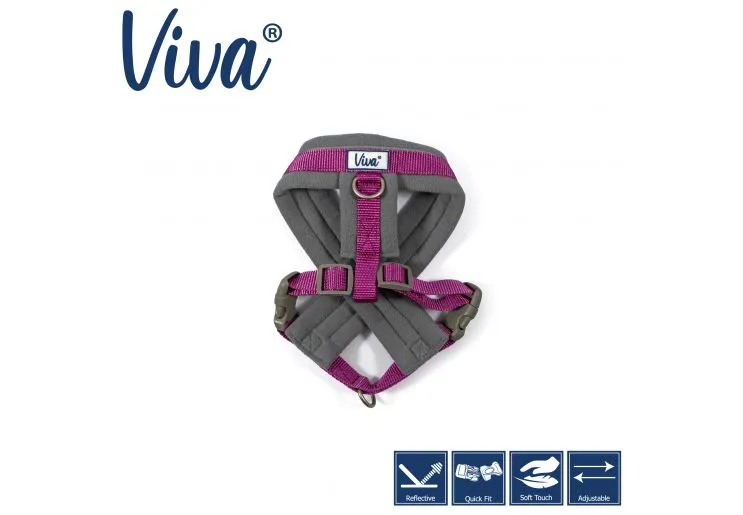 Ancol - Viva Nylon Padded Harness - Purple - XLarge (70-98cm)