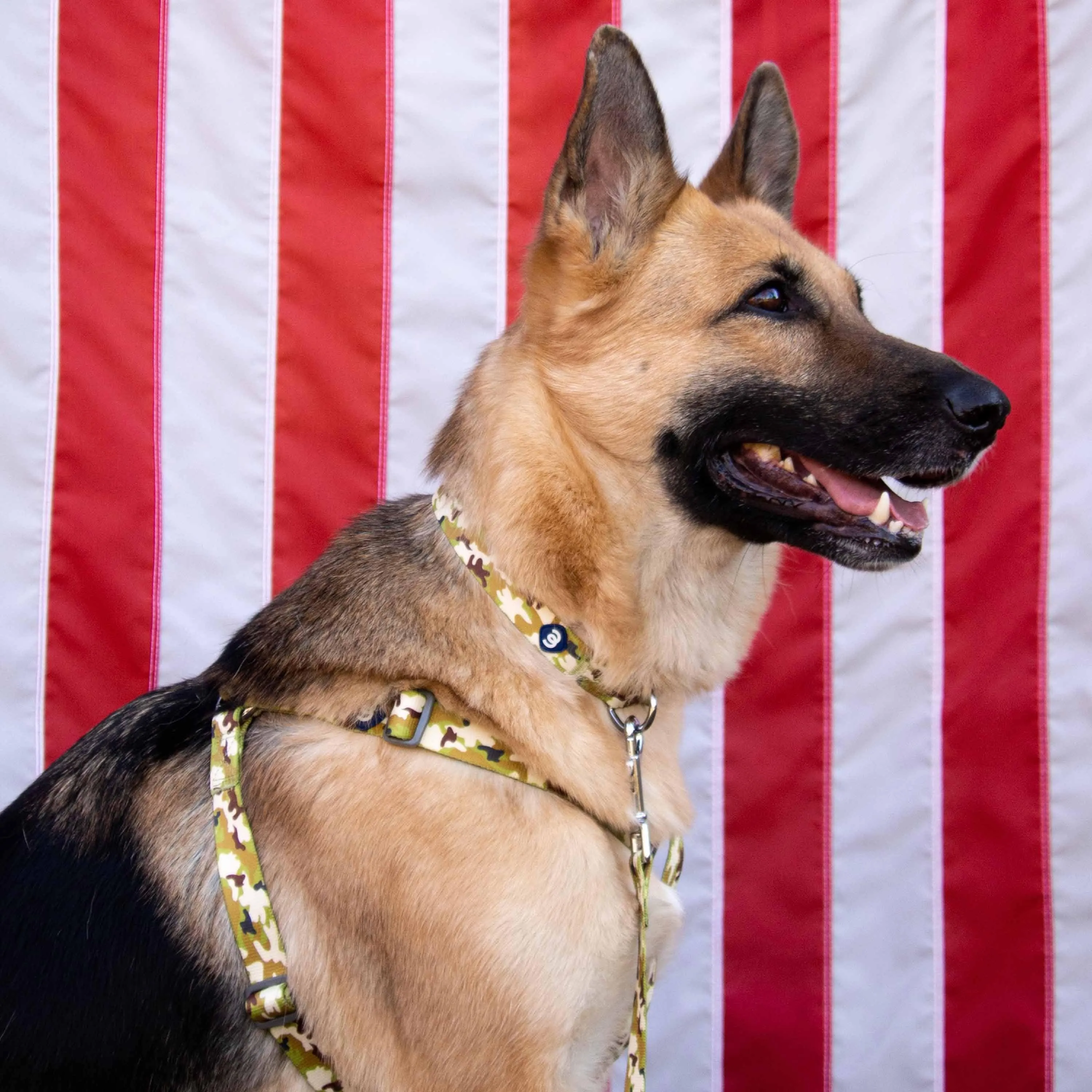 Camouflage Dog Harness