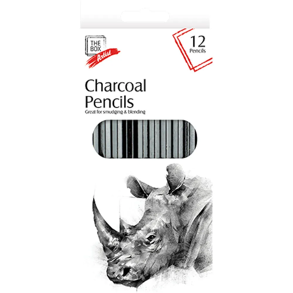 Charcoal Pencils 12 Pack - Professional Sketching and Drawing Tools for Artists, Assorted Grades