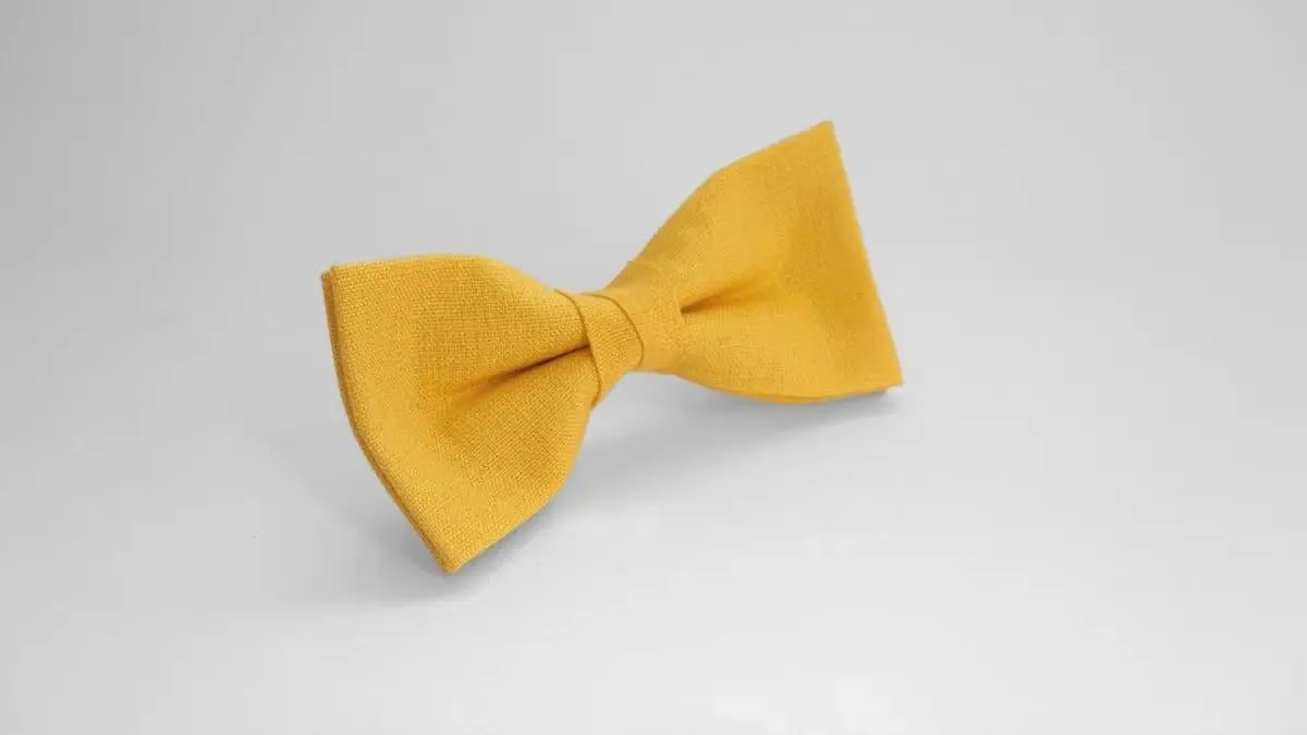 Light Yellow Bow Tie & Pocket Square Set - Ideal for Weddings & Children's Attire