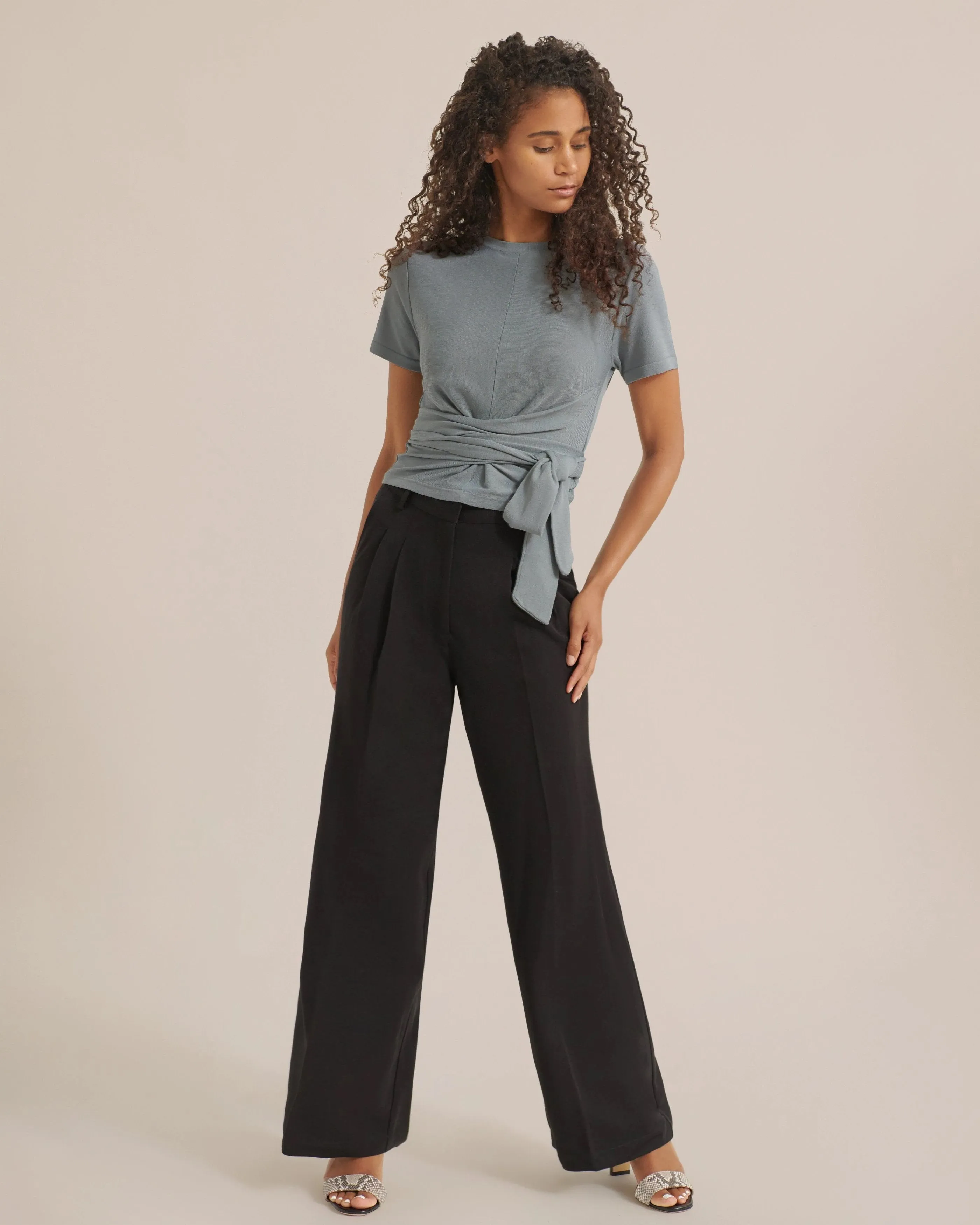 Shonda Wide-Leg Pleated Trousers